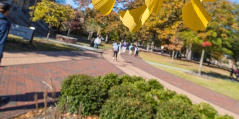 Students walking on campus with yellow leaves in foreground